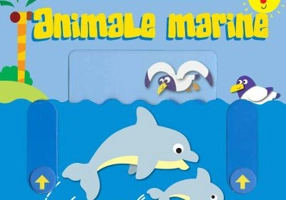 Cauta si gaseste. Animale marine