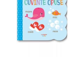 Carticica mea cu ferestruici. Cuvinte opuse