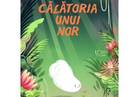 Calatoria unui nor