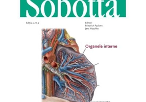 Atlas de anatomie a omului Sobotta. Organele interne, volumul 2