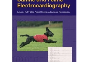 Guide to Canine and Feline Electrocardiography