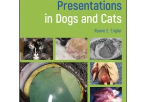 Common Clinical Presentations in Dogs and Cats