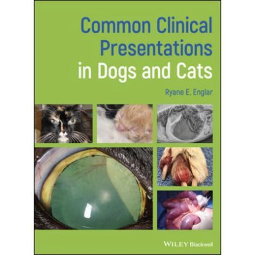 Common Clinical Presentations in Dogs and Cats
