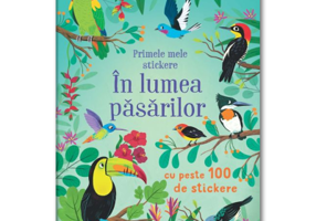 Primele mele stickere: In lumea pasarilor (Usborne)