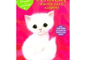 Stanley, pisoiul fara adapost