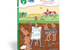 Matematica, Adunarea si scaderea pana la 20 (2) - Mapa Logico