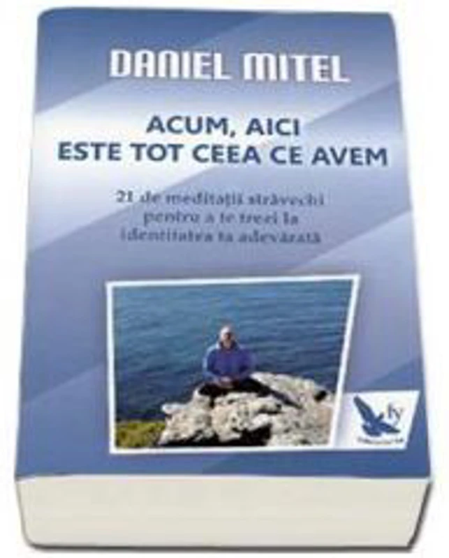Acum, aici este tot ceea ce avem. 21 de meditatii stravechi pentru a te trezi la identitatea ta adevarata