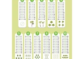 Tabla adunarii. Plansa didactica A3