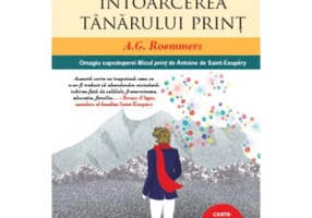 Intoarcerea tanarului print