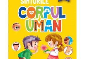 Corpul uman. Simturile