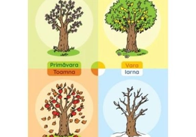 Pomul anotimpurilor. Plansa didactica A3
