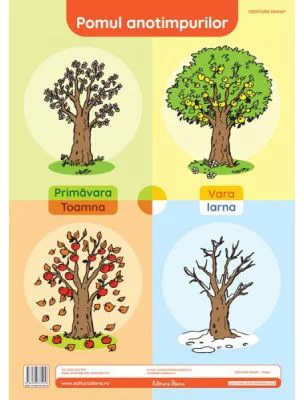 Pomul anotimpurilor. Plansa didactica A3