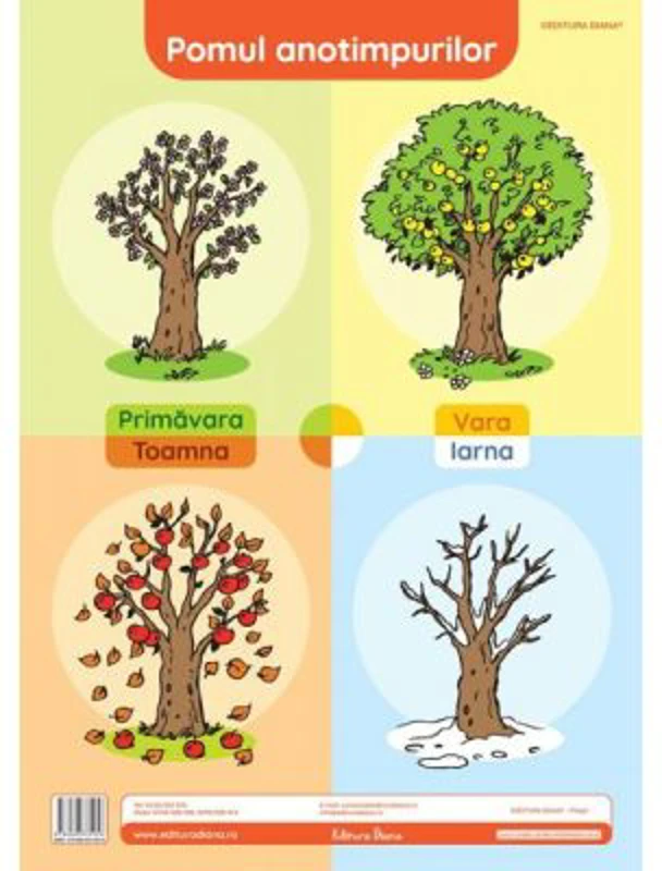 Pomul anotimpurilor. Plansa didactica A3
