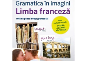Limba franceza. Gramatica in imagini - Pons