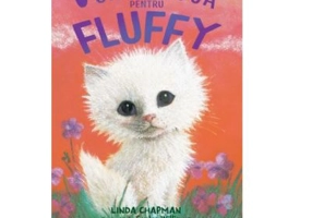 O casa noua pentru Fluffy