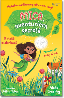 Mica, aventuriera secreta: o vizita misterioasa (Usborne)