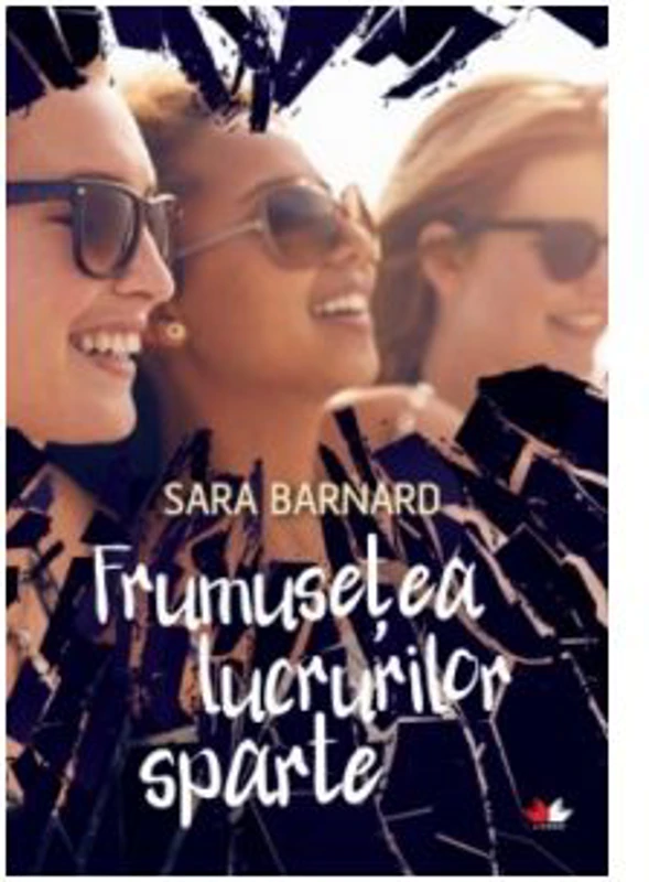 Frumusetea lucrurilor sparte - Sara Barnard