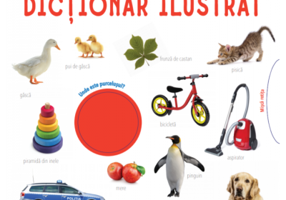Primul meu dictionar ilustrat
