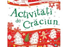 Activitati de Craciun