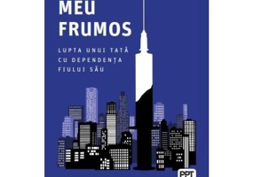 Baiatul meu frumos. Lupta unui tata cu dependenta fiului sau - David Sheff