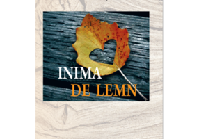 Inima de lemn - Cristina Nitulescu