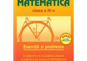 Matematica. Culegere pentru clasa a 11-a - Marius Burtea