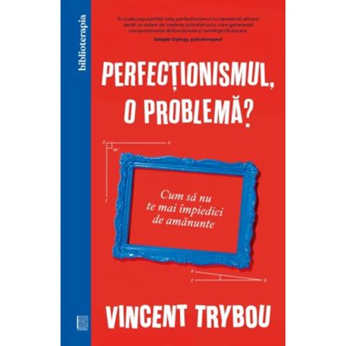 Perfectionismul, o problema? Cum sa nu te mai impiedici de amanunte - Vincent Trybou
