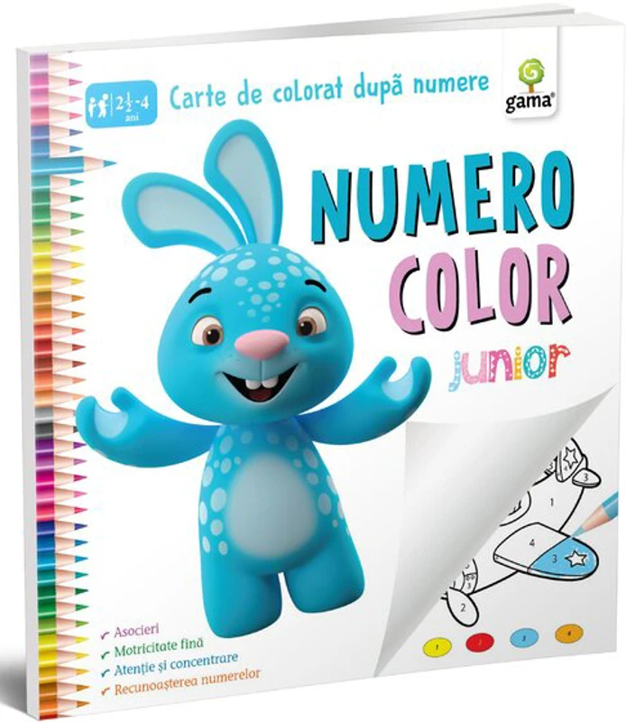 NumeroColor • Junior