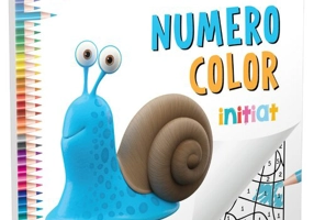 NumeroColor • Initiat