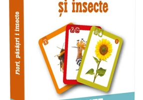 Flori pasari si insecte