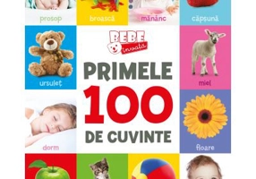 Bebe invata. Primele 100 de cuvinte