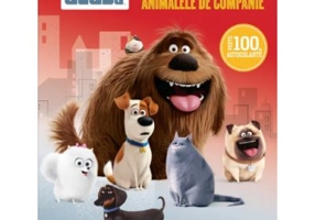 Singuri acasa. Totul despre animalele de companie. Peste 100 de autocolante