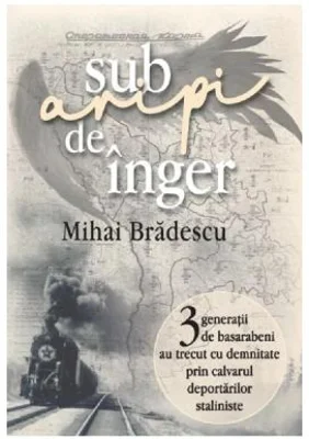 Sub aripi de inger