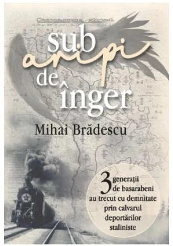 Sub aripi de inger