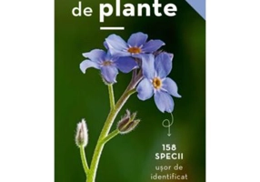 Mic determinator de plante - Eva-Maria Dreyer