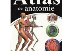 Atlas de anatomie - Irina Paller
