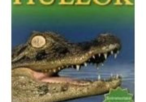 Hullok - Szorakoztato es egyszeru projektekkel / Reptile - Belinda Weber