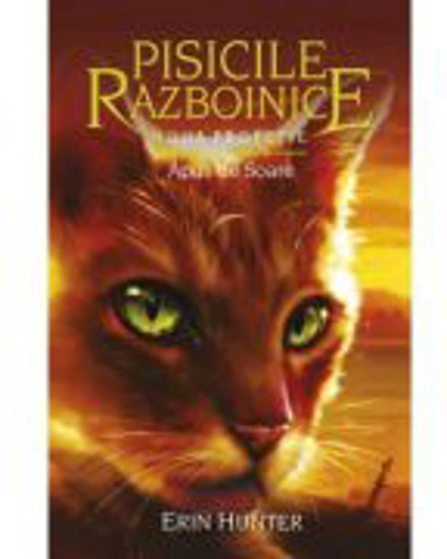 Pisicile Razboinice. Noua profetie. Cartea 12. Apus de Soare - Erin Hunter