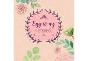 Egy ev az eletembol (rozsaszín) Un an din viata mea Jurnal de suflet