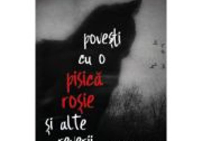 Povesti cu o pisica rosie si alte reverii - Sorin Lucaci, Paul Suciu