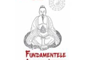 Fundamentele Alchimiei Interne - Practica daoista Neidan - Wang Mu, Fabrizio Pregadio