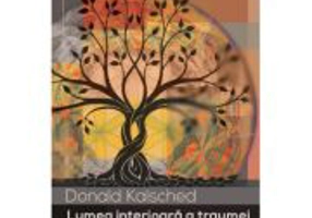 Lumea interioara a traumei - Donald E Kalsched