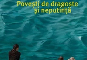 Povești de dragoste și neputință - Paperback brosat - Dan Pleșa - Vellant