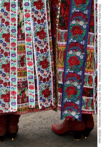 Transilvania, povestea poveștilor (album) - Hardcover - Miya Kosei - Idea Design