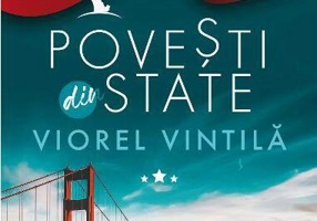 Povești din State - Paperback brosat - Viorel Vintilă - Libris Editorial