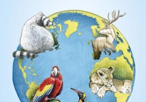 Animalele lumii - Paperback - Jurgen Beckhoff - Galaxia Copiilor