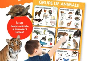 Animale. Planșe educaționale - Paperback - *** - Litera