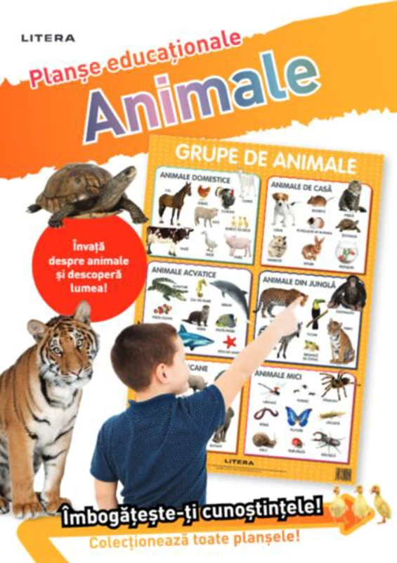 Animale. Planșe educaționale - Paperback - *** - Litera