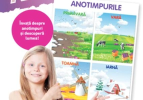 Anotimpurile. Planșe educaționale - Paperback - *** - Litera