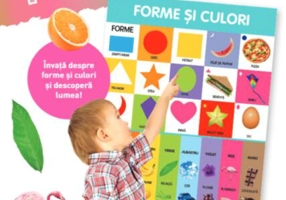 Forme și culori. Planșe educaționale - Paperback - *** - Litera